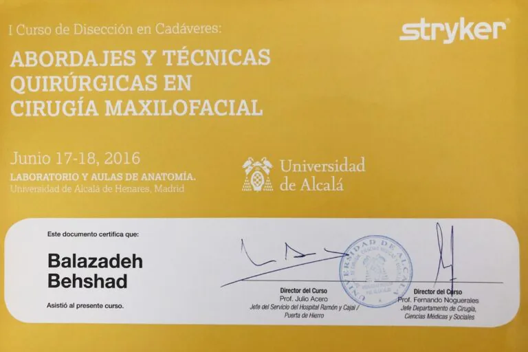 Certificat Dr. Balazadeh Behshad Andrei 15