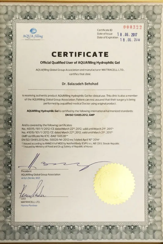 Certificat Dr. Balazadeh Behshad Andrei 42